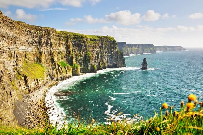 The Cliffs of Moher running north from the viewing platform, sea pinks in the grass