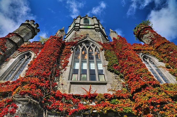 Red autumn ivy across a Gothic stone façade in Galway